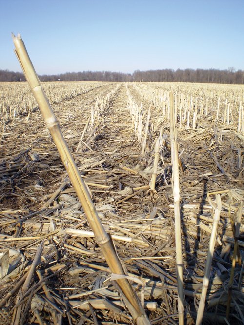 Property photo 2 - 159 Acres Offered in 7 Tracts